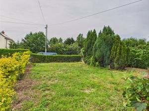 Front Garden- click for photo gallery